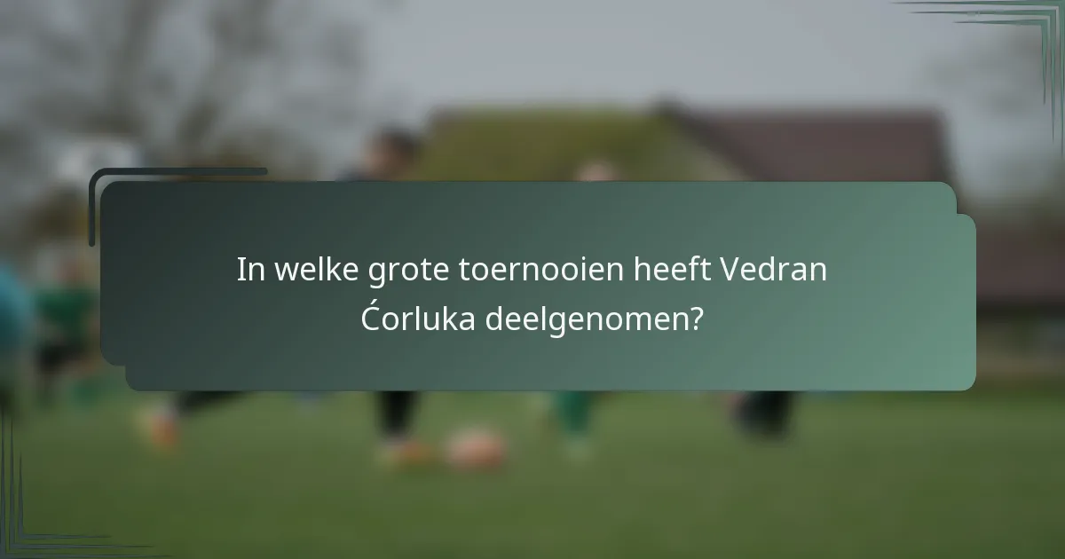 In welke grote toernooien heeft Vedran Ćorluka deelgenomen?