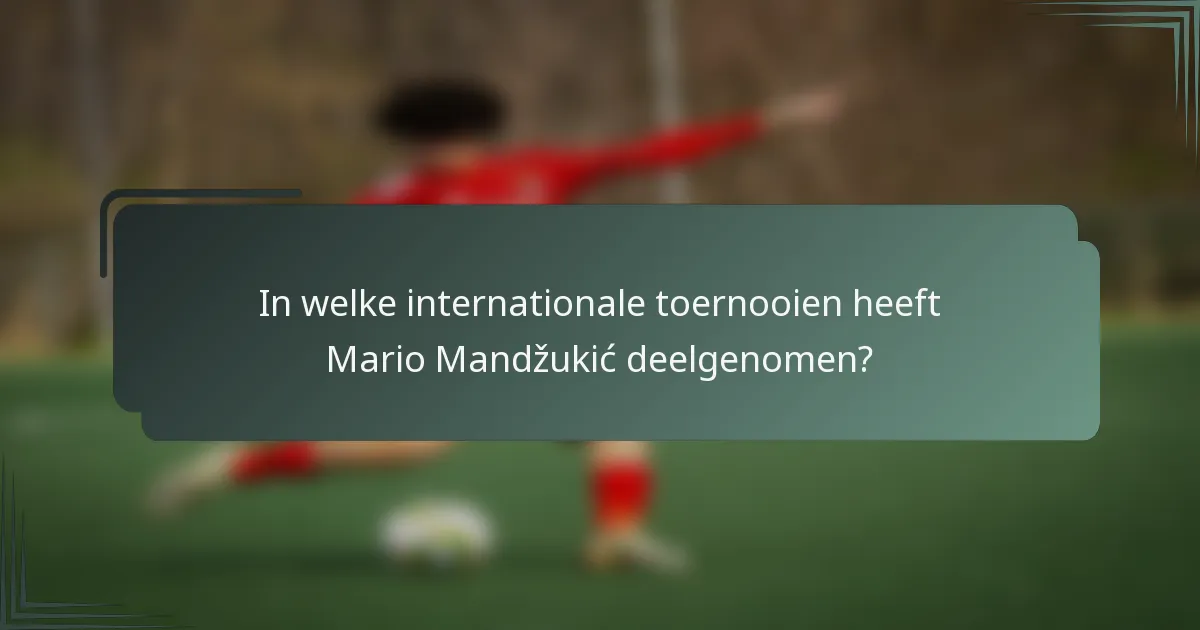 In welke internationale toernooien heeft Mario Mandžukić deelgenomen?